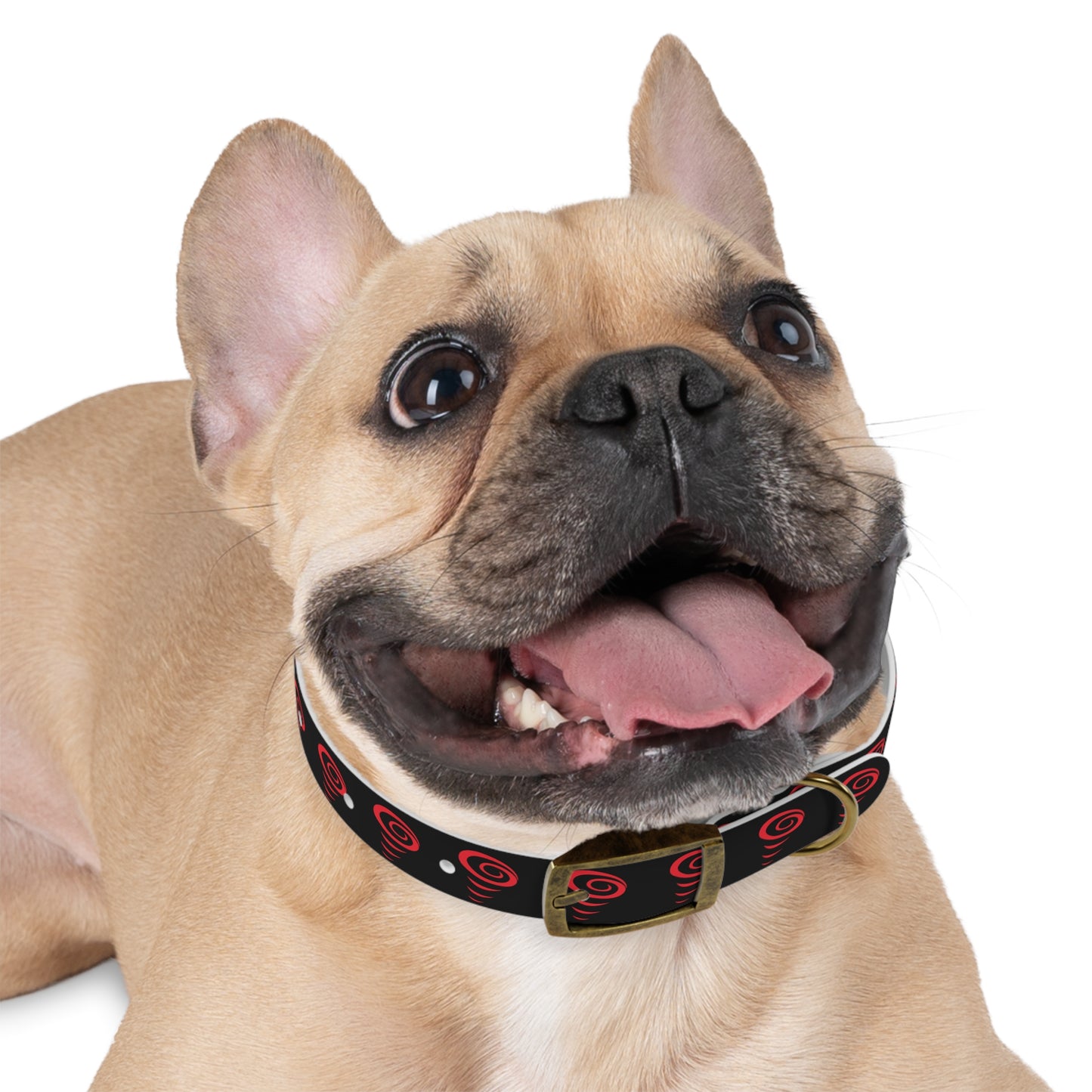 Vac2Go Dog Collar