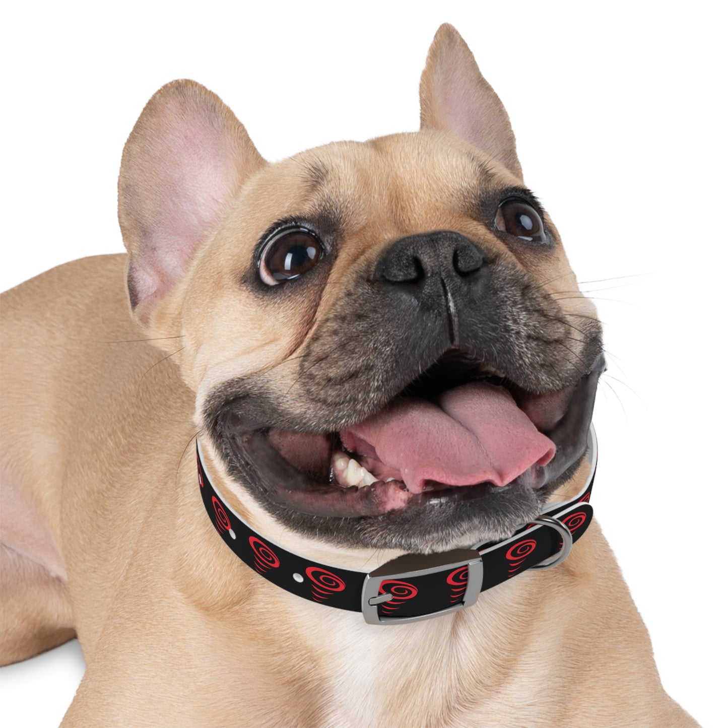 Vac2Go Dog Collar