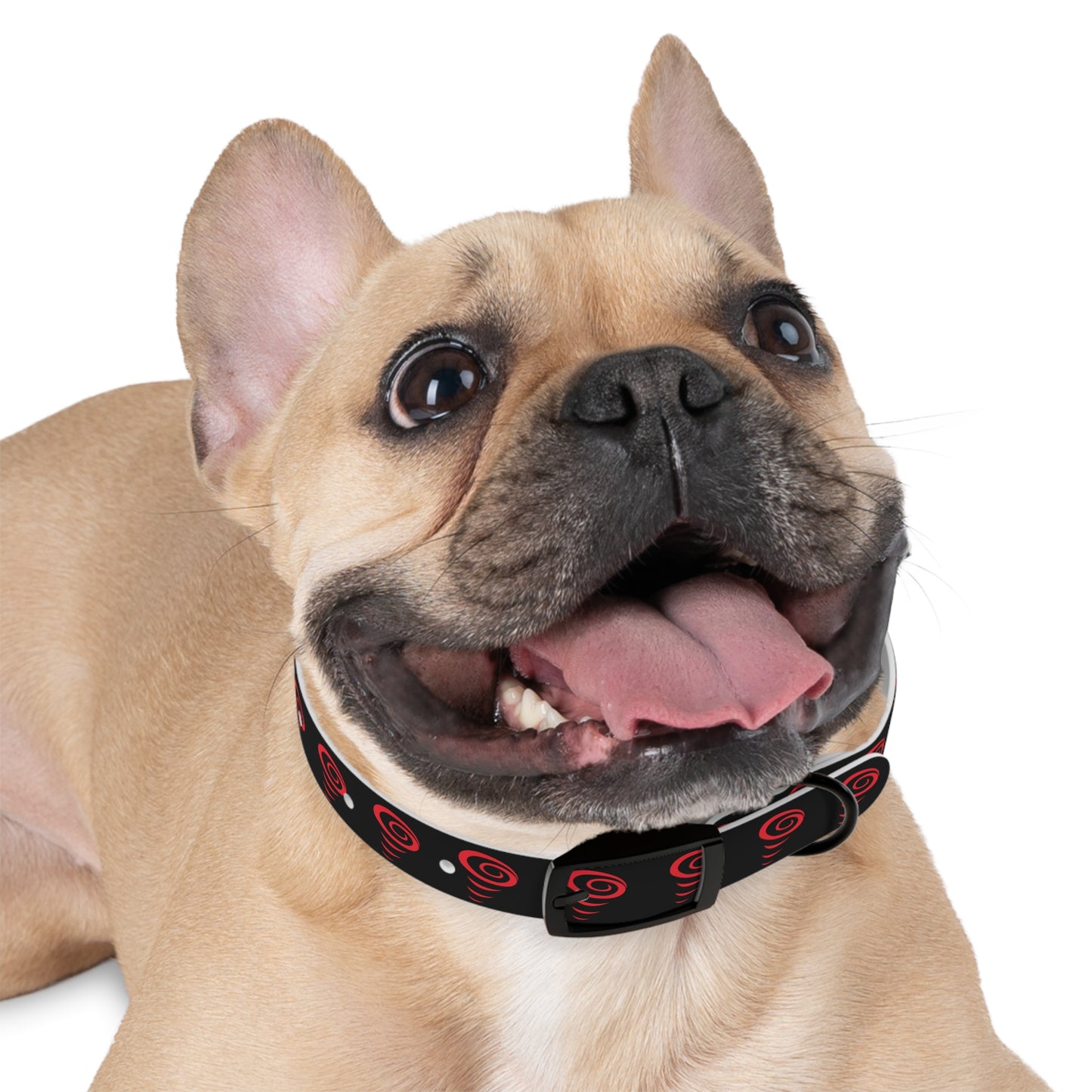 Vac2Go Dog Collar